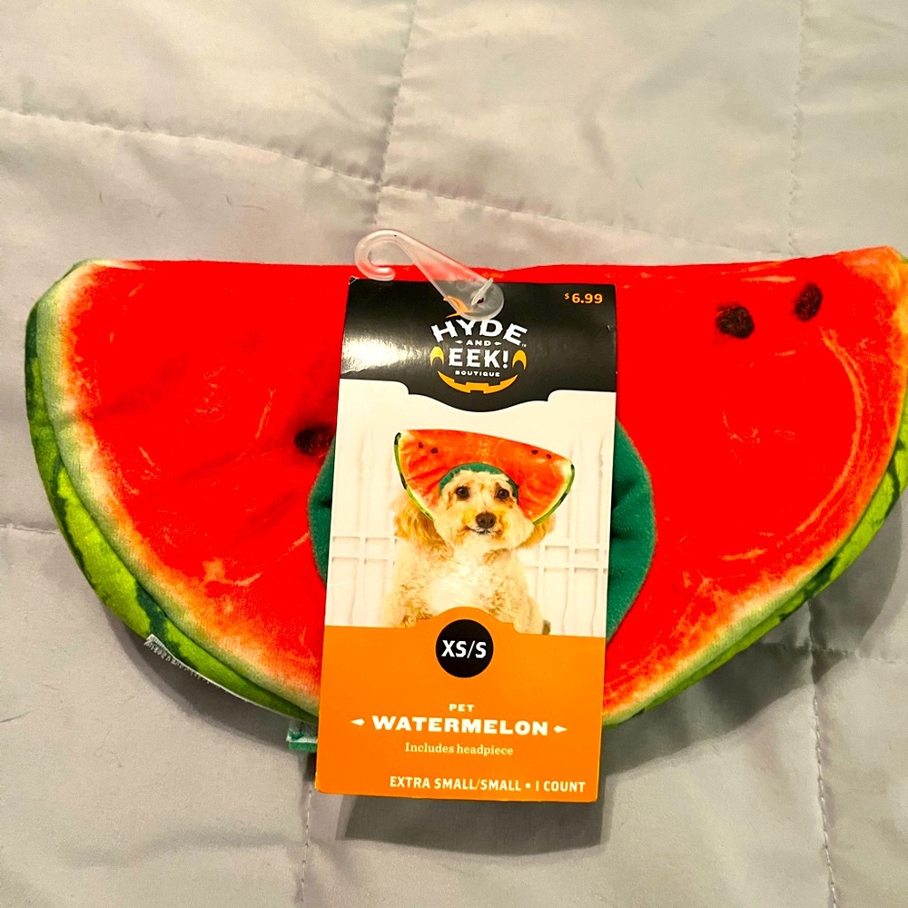 NWT Dog Watermelon Head Costume